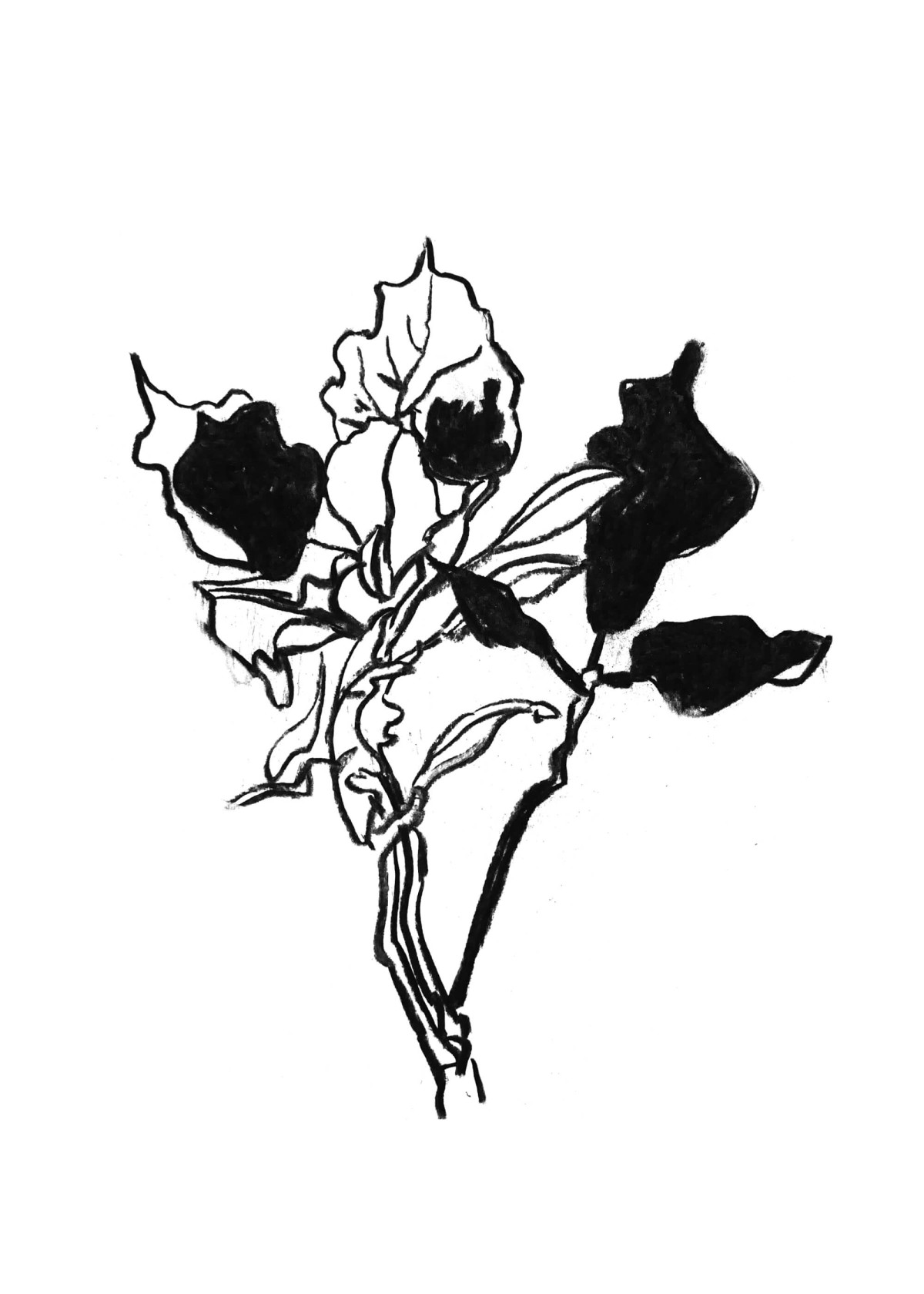 7430bdc2af643ffa1d35f7e451fbe460