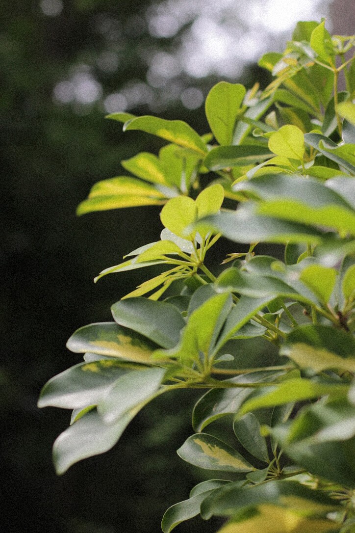 e52e35fa1c58484ae72bf32cfbb6c3ff